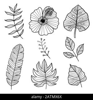Set aus botanischen Vektorelementen, tropischen Blättern und Blumen auf weißem Hintergrund. Handgezeichneter Stil - Vektor-Ilustration Stock Vektor