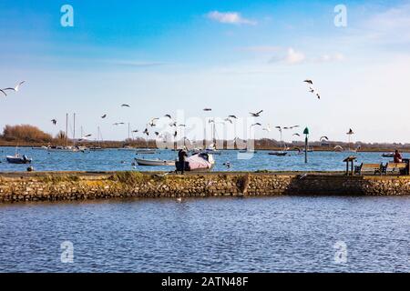 Möwen streuen von Der Promenade in Emsworth, da Besucher und Wanderer sie stören, Hampshire, Großbritannien Stockfoto