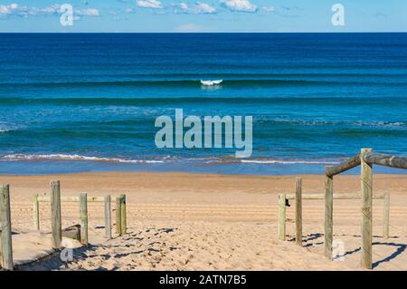 Strandeingang mit Holzpfosten und Meer im Hintergrund. Australien Stockfoto