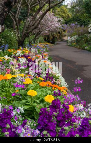 Bunte Blumenbeete entlang der Gasse im Garten, Park. Hintergrund der Natur Stockfoto