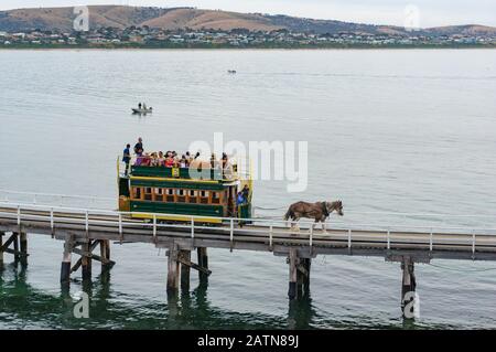 Victor Harbor, Australien - 11 November, 2017: von Pferden gezogene Straßenbahn auf dem Weg nach Granite Island Stockfoto