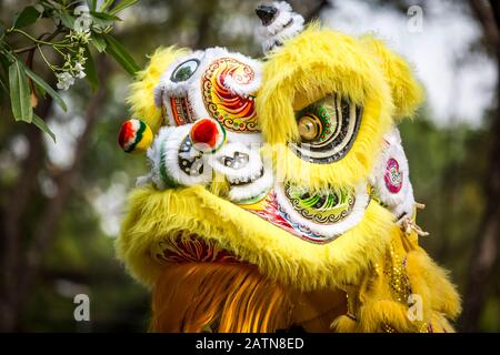 Chinesische Drachen Während der chinesische Neujahrsfest Stockfoto