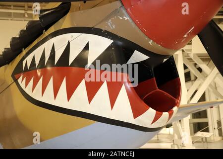 Curtiss P-40 Kittyhawk in Flying Tigers Paint Stockfoto