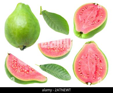 Isolierte Guava. Sammlung von grün-rosafarbenen Guava-Fruchtstücken und Blättern isoliert auf weißem Hintergrund mit Beschneidungspfad Stockfoto