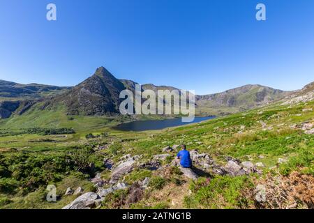 Sommer in Snowdonia, Ogwen Valley und Tryfan. Stockfoto