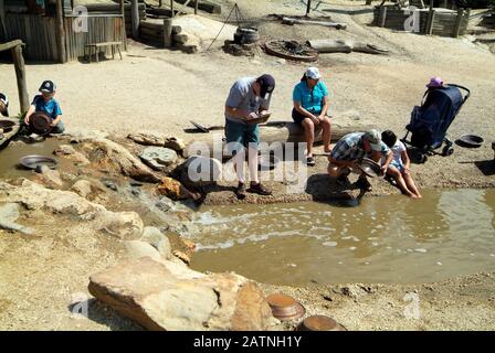 Ballarat, VIC, Australien - 23. Januar 2008: Nicht identifizierte Menschen, die auf Sovereign Hill nach Gold suchen - ein umgebautes Goldgräberdorf und es vorgezogen hat Stockfoto