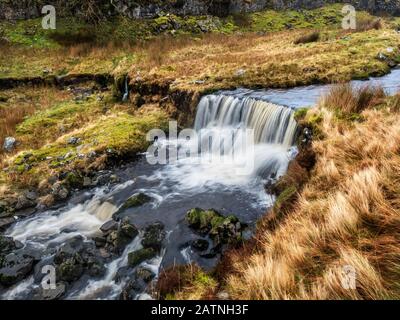 Wasserfälle in Force Gill in der Nähe des Ribblehead Yorkshire Dales National Park England Stockfoto