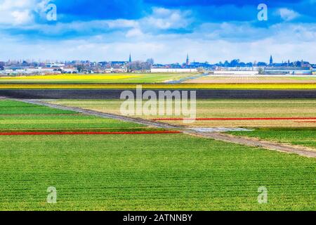 Holland Niederlande bunte Landschaft mit Blumenfeldern Reihen Luftbild, blauer bewölkter Himmel in der Nähe von Lisse Stockfoto