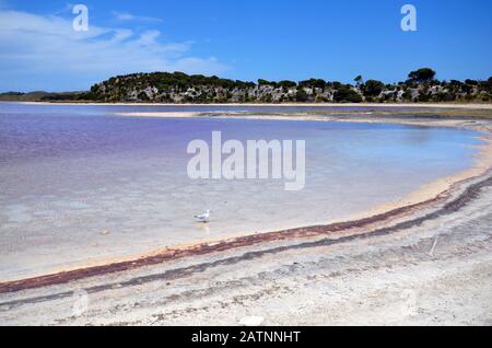 Australien, Salzsee auf Rottnest Island Stockfoto