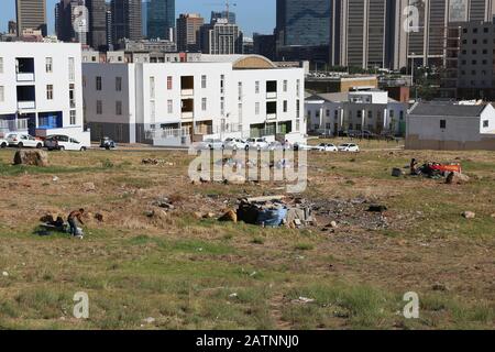 Notunterkünfte auf Abfallgrund neben neuen Wohnungen, Russell Street, District Six, Kapstadt, Table Bay, Western Cape Province, Südafrika, Afrika Stockfoto