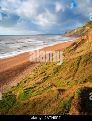 Die Klippen der Dorset Küste Stockfoto