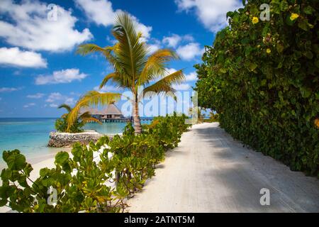 Straße auf der Insel, schöner Blick auf die Maladiven Stockfoto