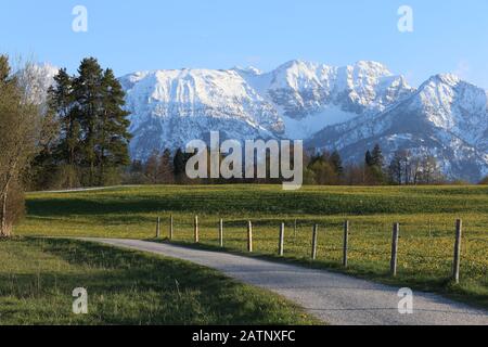 Idyllische Landschaft in den Alpen mit frischen grünen Wiesen, blühenden Blumen und schneebedeckten Bergen Stockfoto