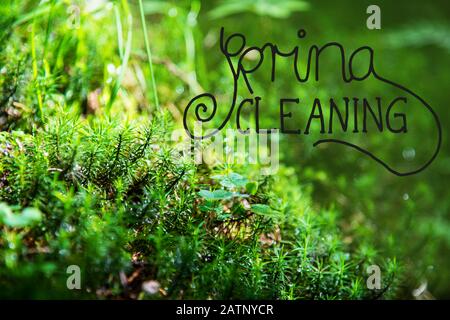 Englische Kalligraphie Spring Cleaning. Tannenbaumzweige Und Grünes Gras Im Hintergrund. Sonnige Frühlingszeit Stockfoto