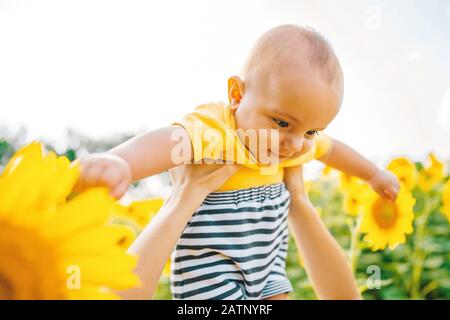 Mutter hat den Jungen über Sonnenblumen auf dem Feld aufgezogen und er lächelt sie an Stockfoto