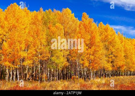 Kawuneche Valley, Rocky Mountain National Park, Estes Park, Colorado, USA Stockfoto