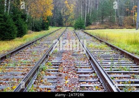 Der Bahnweg geht im Herbst in die Ferne Stockfoto