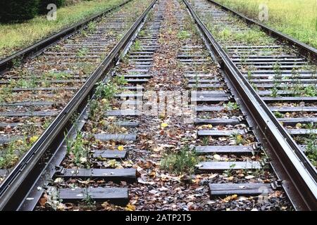 Der Bahnweg geht im Herbst in die Ferne Stockfoto