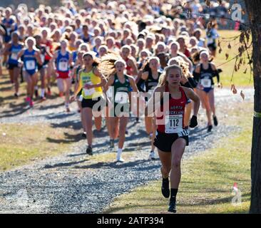 Wappingers Falls, New York, USA - 23. November 2019: Der Blick auf die Front eines High School Mädchen Cross Country Championship Rennen etwa ein Viertel von einem Stockfoto