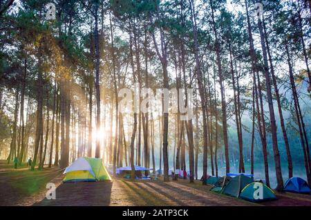 Pang Oung Roum Lake, Klare Wasserbesinnung und Bäume, nördlich von Thailand Stockfoto