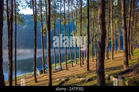 Bäume und See klares Wasser wir Reflexion, Kiefernwald, Pang Oung Roum, nördlich von Thailand Stockfoto