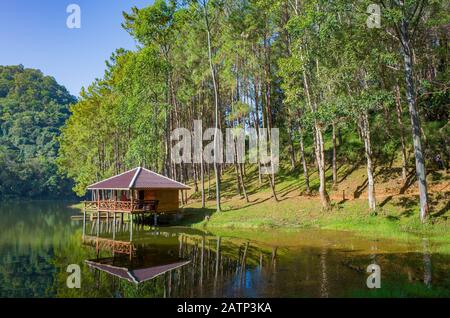 See und Haus, Hütte, klares Wasser wir Reflexion und Bäume, Kiefernwald, Pang Oung Roum, nördlich von Thailand Stockfoto