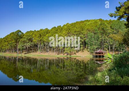 See und Haus, Hütte, klares Wasser wir Reflexion und Bäume, Kiefernwald, Pang Oung Roum, nördlich von Thailand Stockfoto