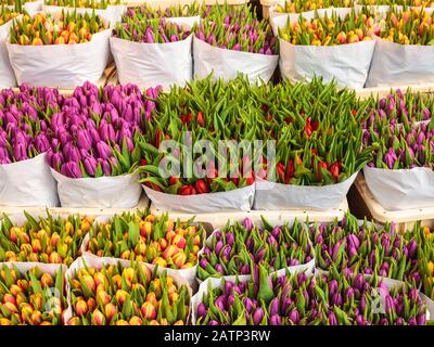 Sortiment an Blumensträußen mit bunten Tulpen in einem Blumenladen Stockfoto