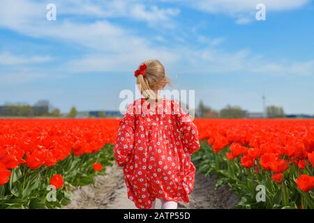 Mädchen, die in einem Rote Tulpe Feld Stockfoto