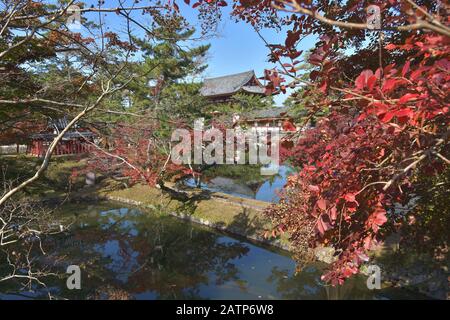 Herbstfarben im Garten des Todai-JI-Tempels Stockfoto