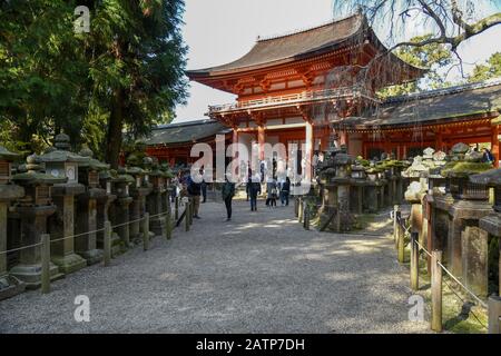 Japanische Frau besucht den kasuga-grand-Schrein Stockfoto