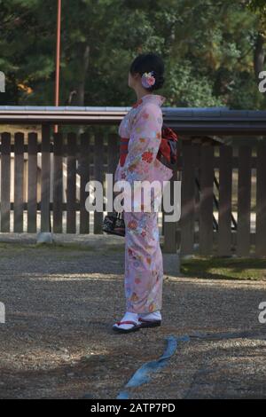 Schöner Blick auf den Kofukuji-Tempel Stockfoto