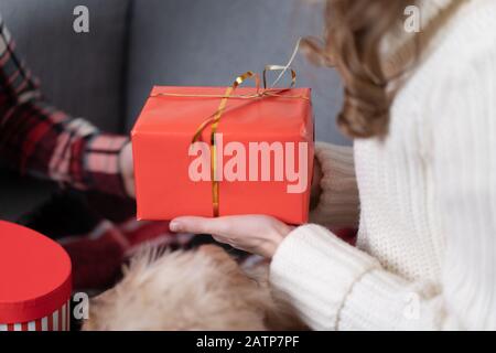 3/4-Ansicht der Paare, die Geschenke im Urlaub präsentieren. Stockfoto