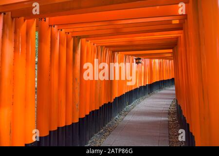 Blick auf den Fushimi Inari Grand Shrine Stockfoto