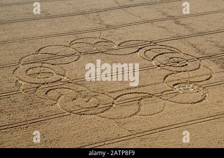 Fruchtkreise, die 2006 über Nacht im ländlichen Bezirk Wiltshire auftauchten Stockfoto