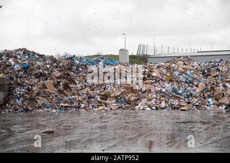 Feststoffmüll in Gdansk, Polen. Januar 2020 © Wojciech Strozyk / Alamy Stock Photo Stockfoto