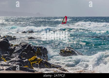 Windsurfen vor dem Ufer des Hookipa Beach; Paia, Maui, Hawaii, Vereinigte Staaten von Amerika Stockfoto