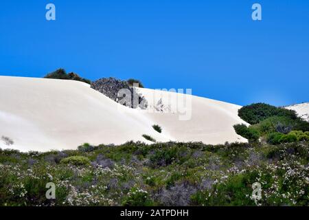 Australien, WA, Sanddünen im Nambung National Park, bevorzugte Touristenattraktion und natürliches Wahrzeichen Stockfoto