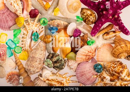 Tropischer Hintergrund schöner Schalen auf weißem Hintergrund. Bunte Schalen und Kristalle auf dem Meeresgrund. Tropischer Hintergrund Stockfoto
