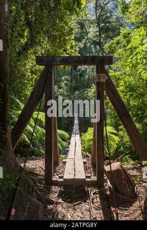 Fußgängerbrücke auf dem Wanderweg im gemäßigten Wald von Cochamo Valley, Region Los Lagos, Patagonien, Chile Stockfoto