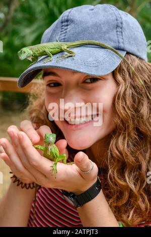 Porträt einer jungen erwachsenen Frau mit einem kleinen Leguan In ihrer Hand und einer auf dem Bill of sitzend Ihre Mütze auf einer Iguana Farm Stockfoto