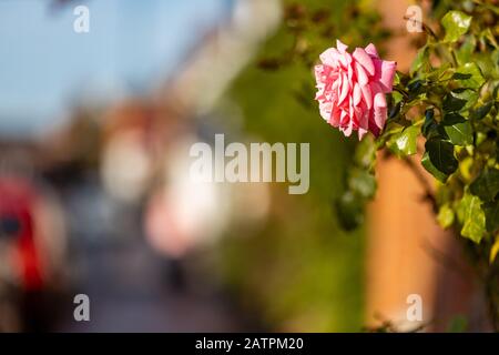 Reading & Woking Location Shoot, England Großbritannien Stockfoto