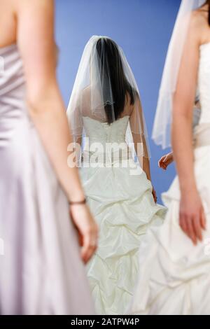 Blick auf Braut mit Brautjungfern. Stockfoto