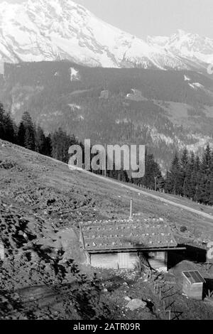 Mit der Seilbahn auf den Jenner. Almhütte auf der Königsbachalm, 1957. Aufsteigender Jenner Berg über Seilbahn. Alpenhütte an der alp Königsbach, 1957. Stockfoto