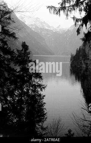 Der Königssee vom Malerwinkel, der Watzmann und die Schönfeldspitze im Hintergrund. Bei der Führung ist die Wallfahrtskapelle St. Bartholomä am gegenüberliegendem Ufer, 1957, zu sehen. Königssee aus Malerwinkel, der Malerecke. Im Hintergrund sind die Gipfel von Watzmann und Schönfeldspitze dargestellt. An einem klaren Tag ist am gegenüberliegenden Ufer, 1957, die Wallfahrtskirche St. Bartholomäus zu sehen. Stockfoto