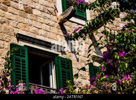 Grüne, traditionelle kroatische Fensterläden auf einem Balkon, umgeben von violetten Blumen Stockfoto