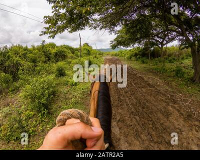 Reiten auf einem schmutzigen Trail auf dem Land in der Nähe von einem kleinen kubanischen Stadt während einer lebendigen sonnigen Tag. In Trinidad, Kuba genommen. Stockfoto