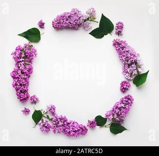 Flieder umgibt den Rundrahmen, isoliert auf weiß, Draufsicht, flaches Lay Stockfoto