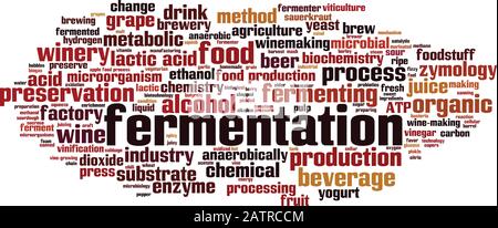 Gärungswort Wolkenkonzept. Collage aus Worten über die Fermentation. Vektorgrafiken Stock Vektor