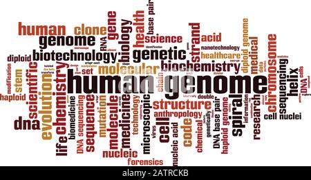 Humangenomwort Wolkenkonzept. Collage aus Wörtern über das menschliche Genom. Vektorgrafiken Stock Vektor